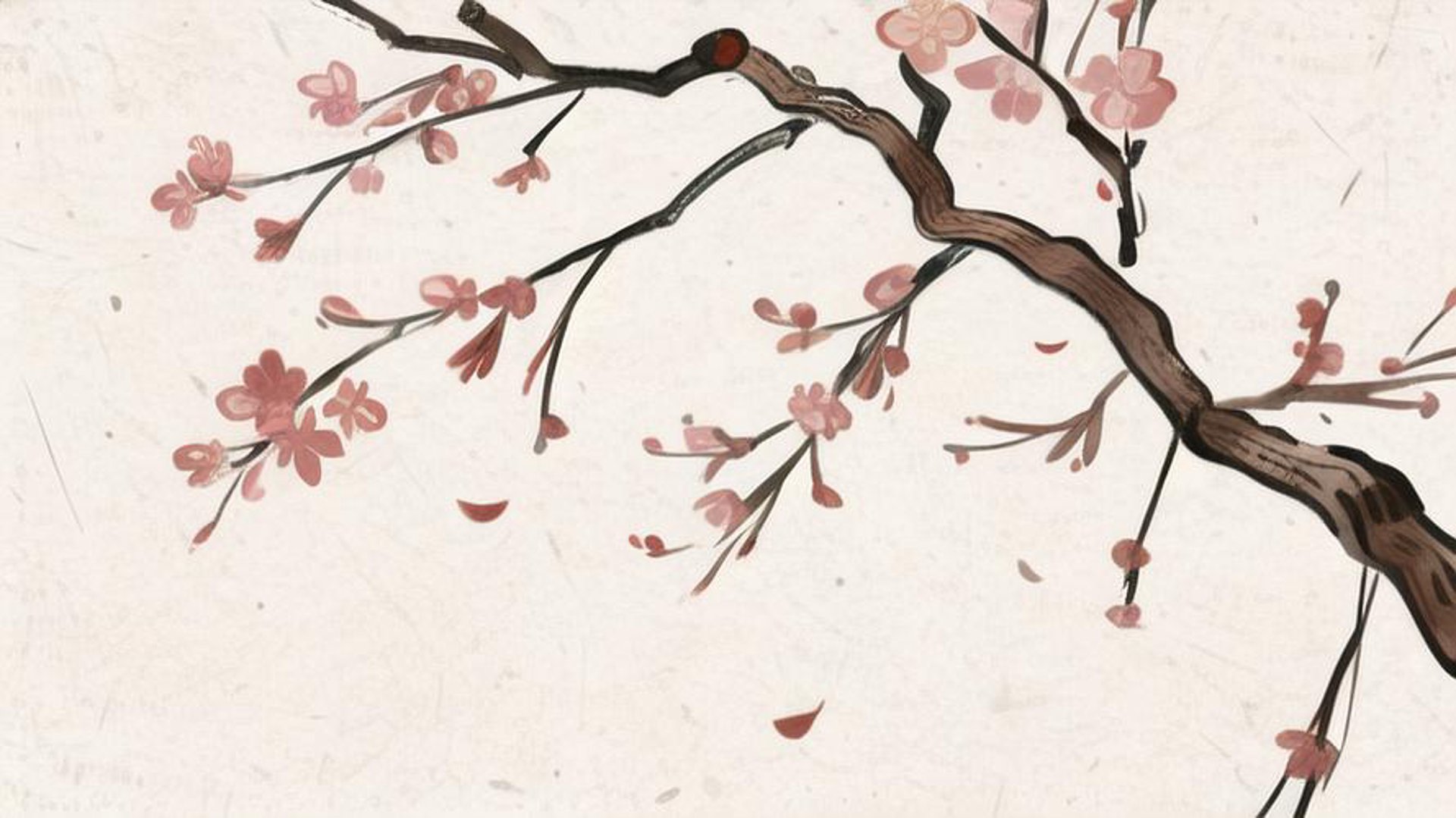 樱花美评网